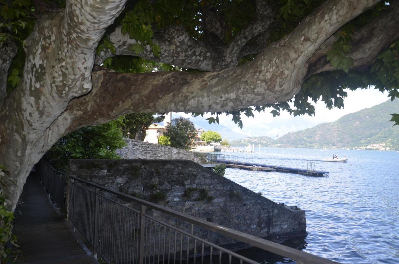 Anma Cottages The Secret Garden Pianello Del Lario Buitenkant foto