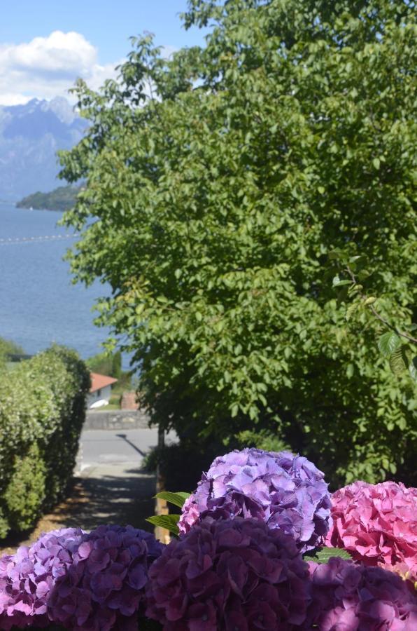 Anma Cottages The Secret Garden Pianello Del Lario Buitenkant foto